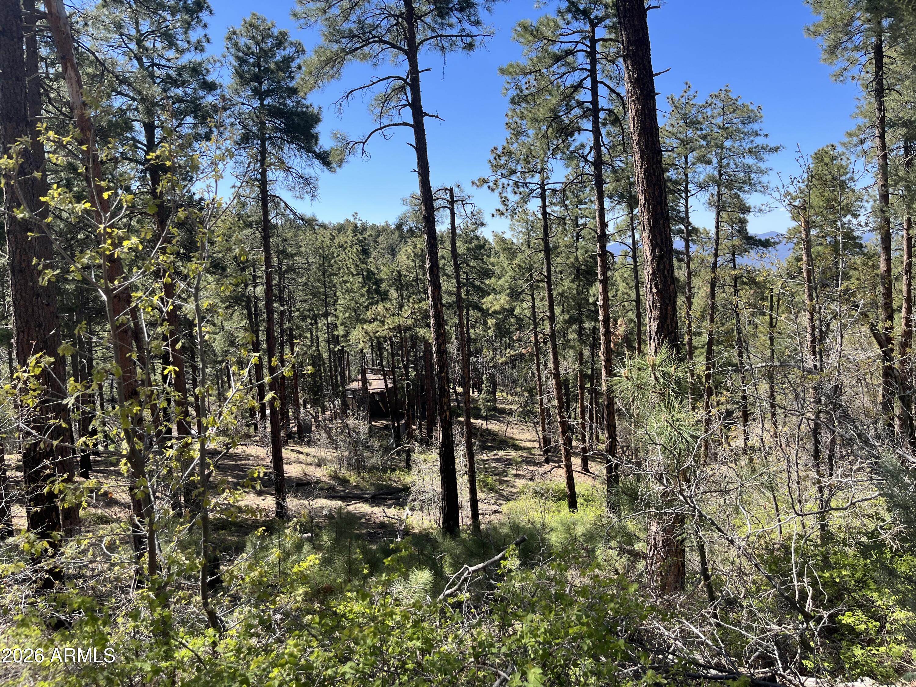 7070 East Wild Flower Road Crown King, AZ 86343 - Photo 13 of 14 Secluded cabin in the pines