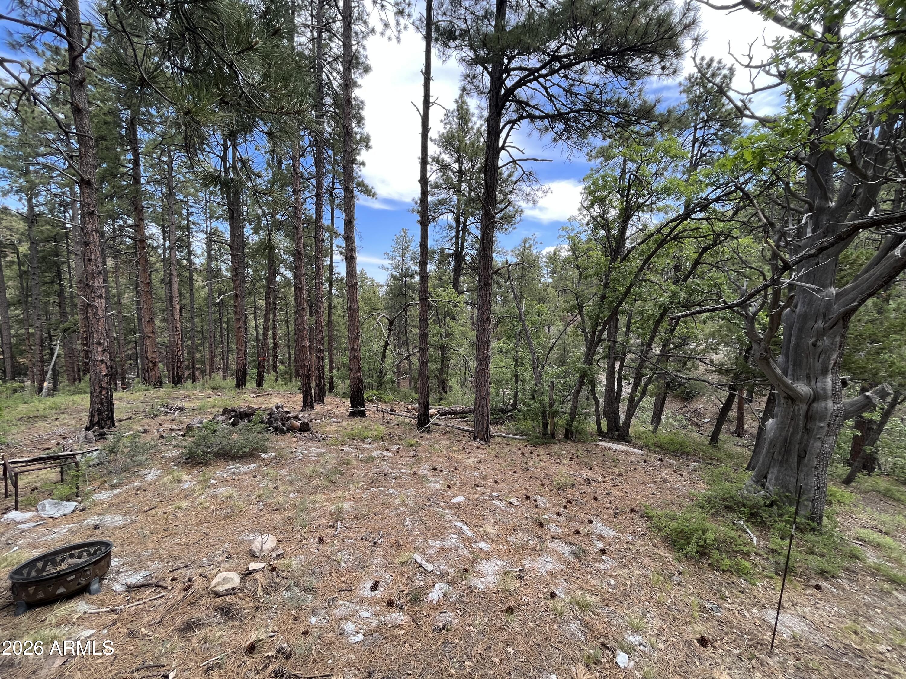 7070 East Wild Flower Road Crown King, AZ 86343 - Photo 3 of 14 Recreating area