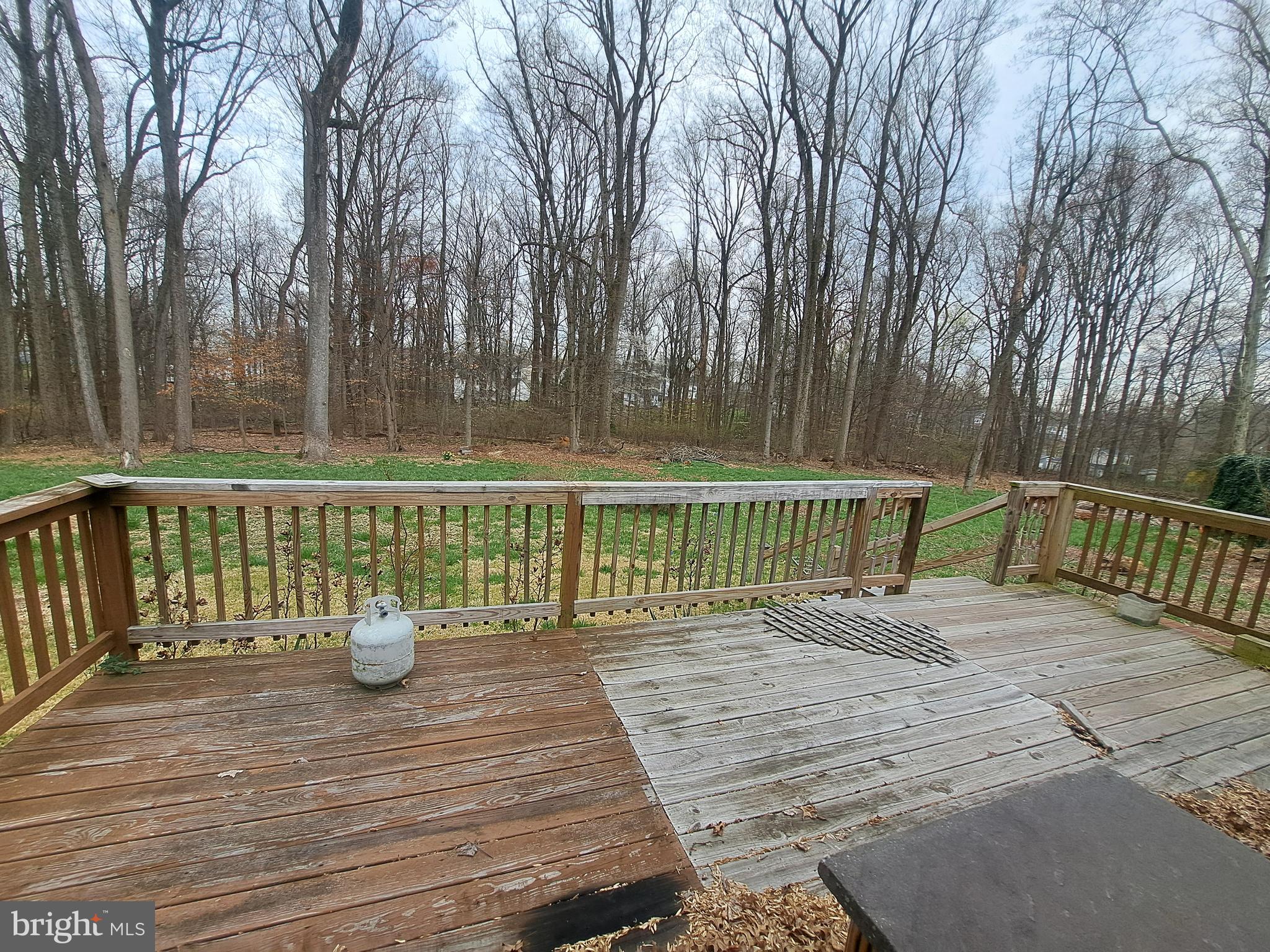 18641 Jerusalem Church Road Poolesville, MD 20837 - Photo 2 of 7