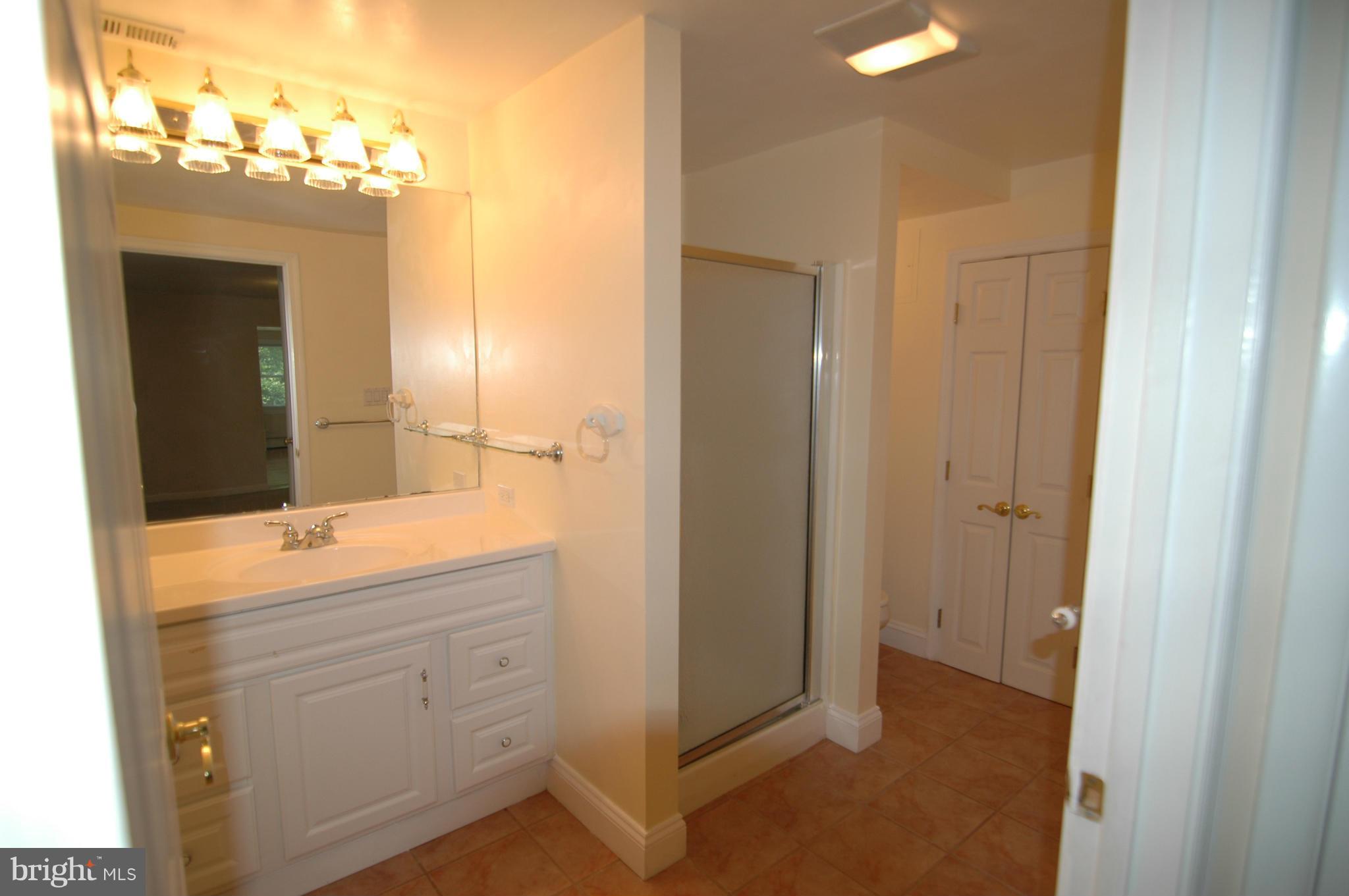 1076 Bay Ridge Road Annapolis, MD 21403 - Photo 19 of 21 Bath (Master)