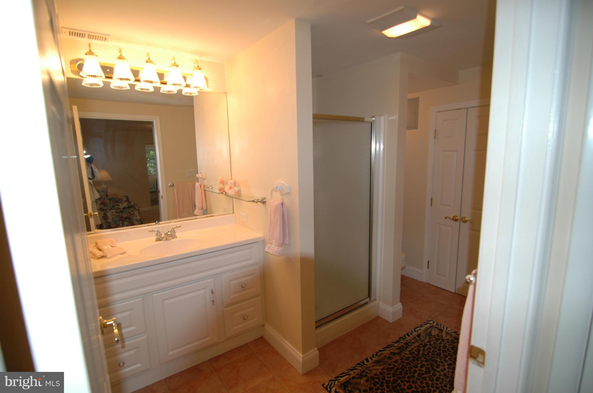1076 Bay Ridge Road Annapolis, MD 21403 - Photo 6 of 21 Bath (Master)