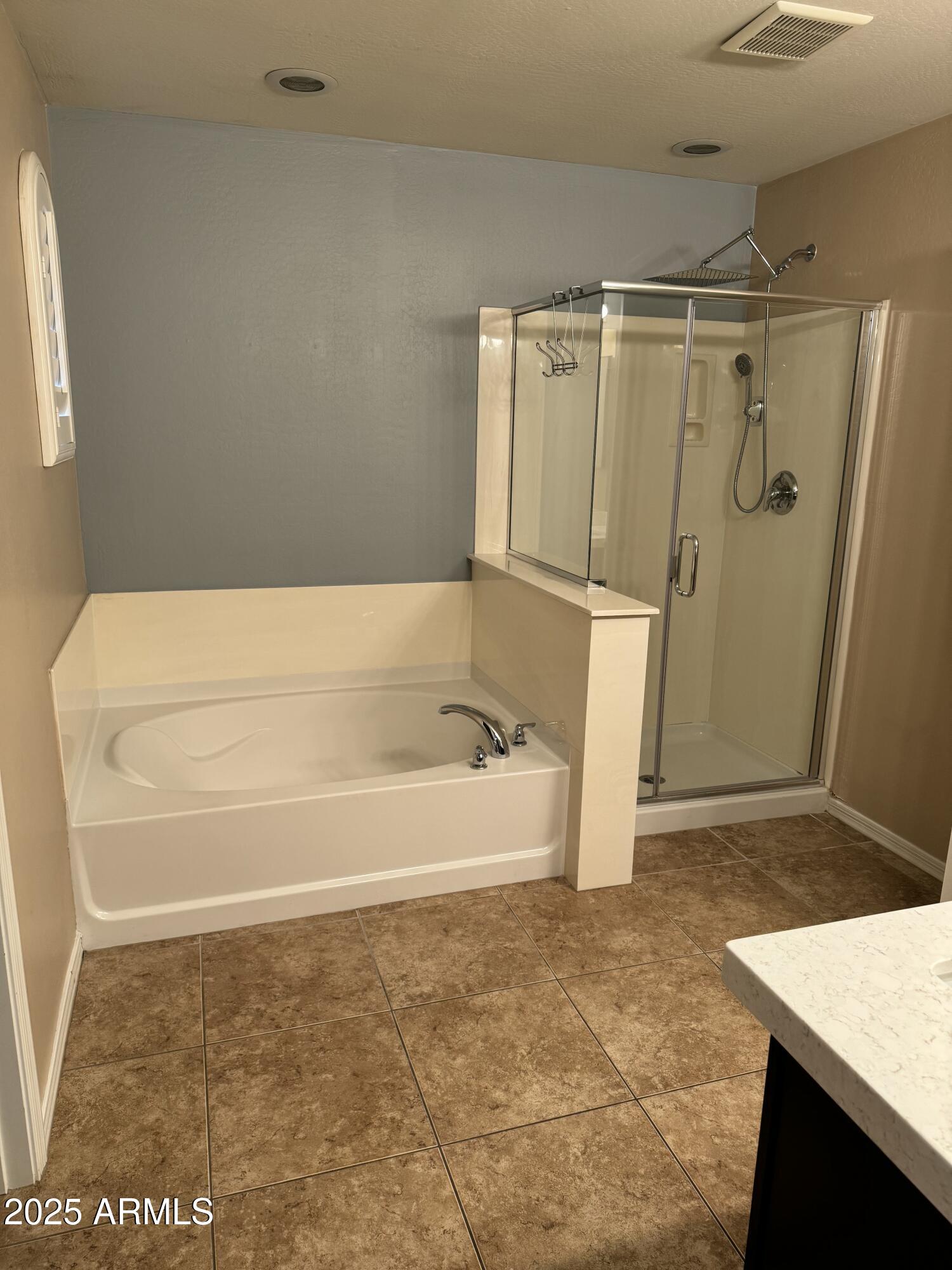 11009 East Sutter Avenue Mesa, AZ 85212 - Photo 19 of 32 a bathroom with a bath tub and a shower