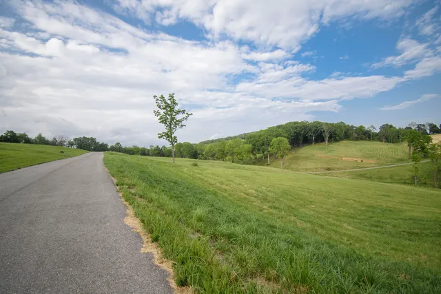 $300,000 | Lot 10 Tanager Cove, Dublin, VA 24084