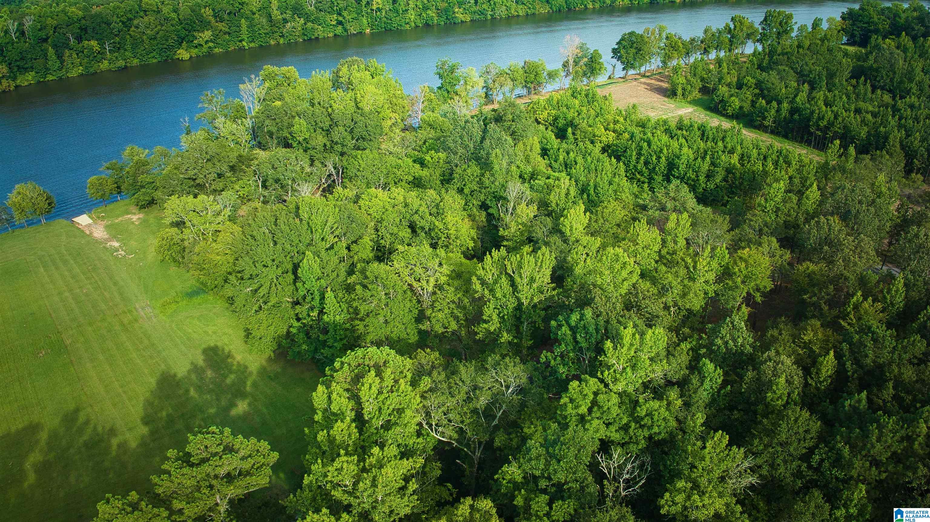 Lot 20 Wester Road, Unit LOT 20 Ragland, AL 35131 - Photo 59 of 68
