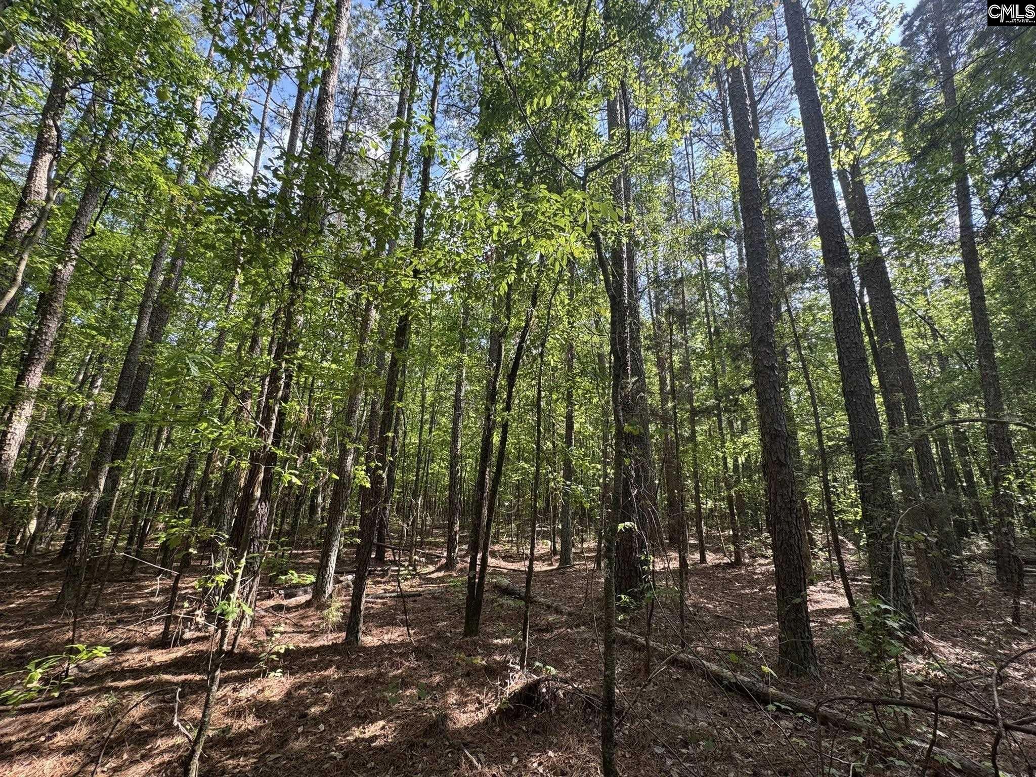 76 West W Highway Honea Path, SC 29654 - Photo 10 of 35