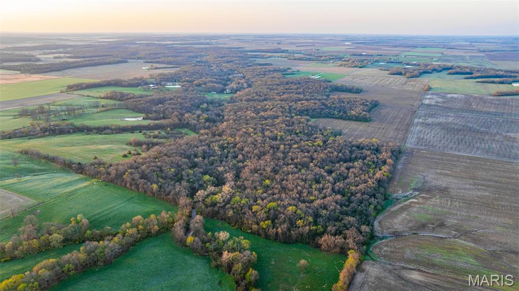 0 Elevator Road New Douglas, IL 62074 - Photo 11 of 49