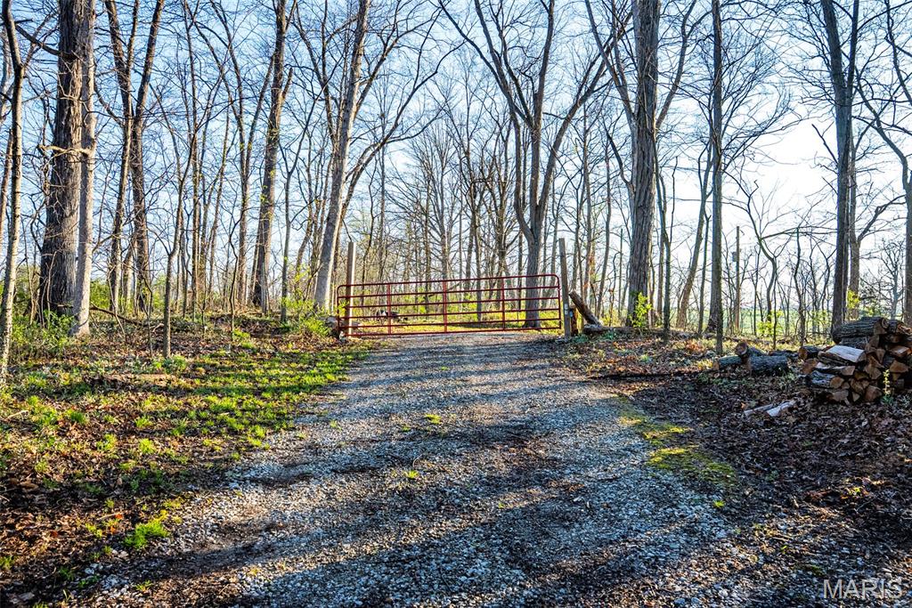 0 Elevator Road New Douglas, IL 62074 - Photo 13 of 49
