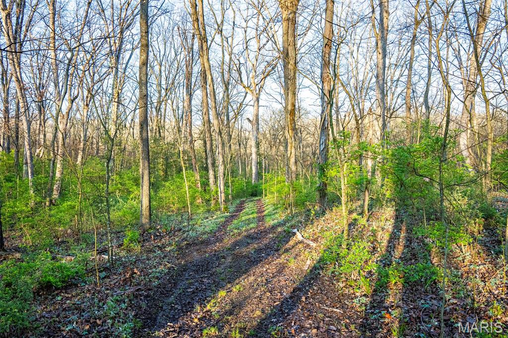 0 Elevator Road New Douglas, IL 62074 - Photo 15 of 49