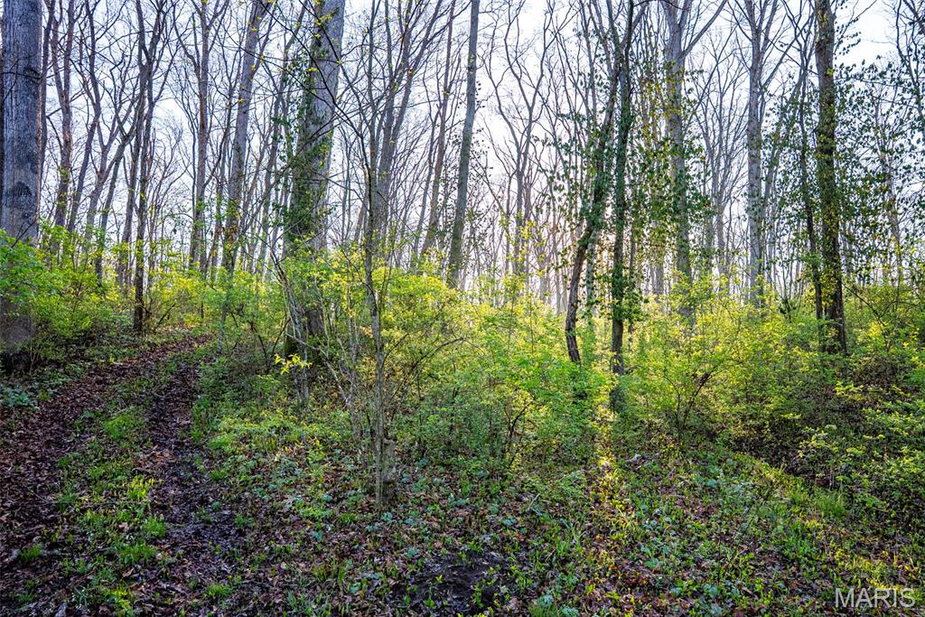 0 Elevator Road New Douglas, IL 62074 - Photo 16 of 49