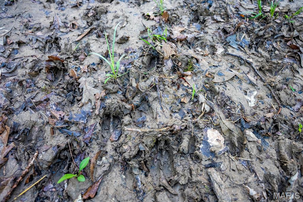 0 Elevator Road New Douglas, IL 62074 - Photo 17 of 49