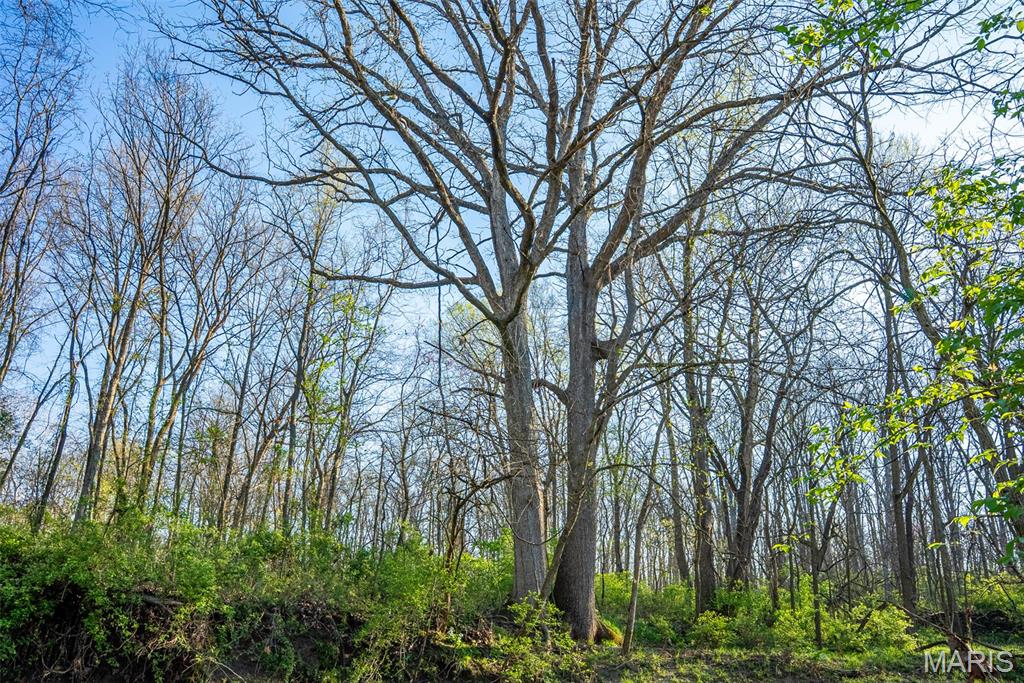 0 Elevator Road New Douglas, IL 62074 - Photo 21 of 49