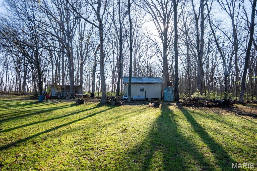 0 Elevator Road New Douglas, IL 62074 - Photo 24 of 49