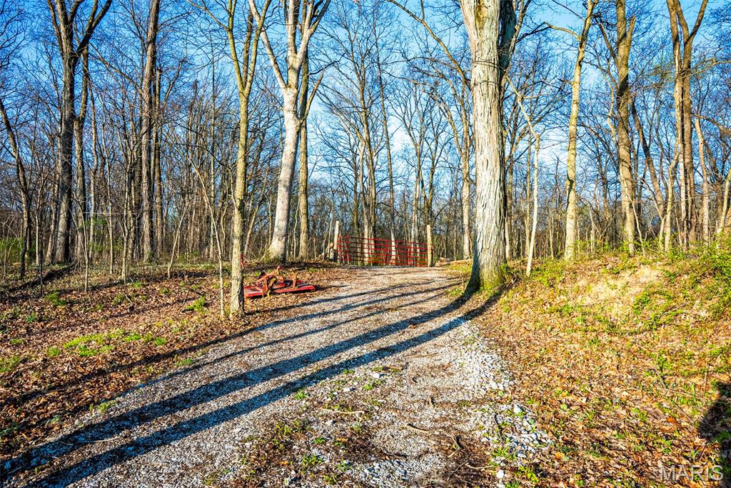 0 Elevator Road New Douglas, IL 62074 - Photo 28 of 49