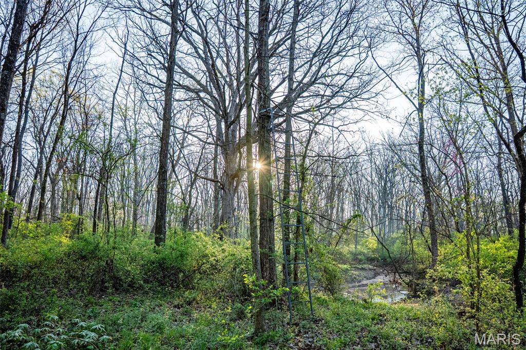 0 Elevator Road New Douglas, IL 62074 - Photo 30 of 49