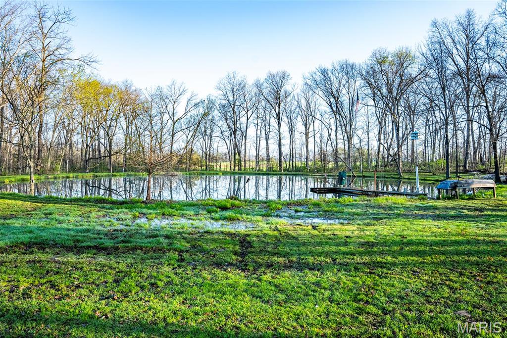 0 Elevator Road New Douglas, IL 62074 - Photo 3 of 49