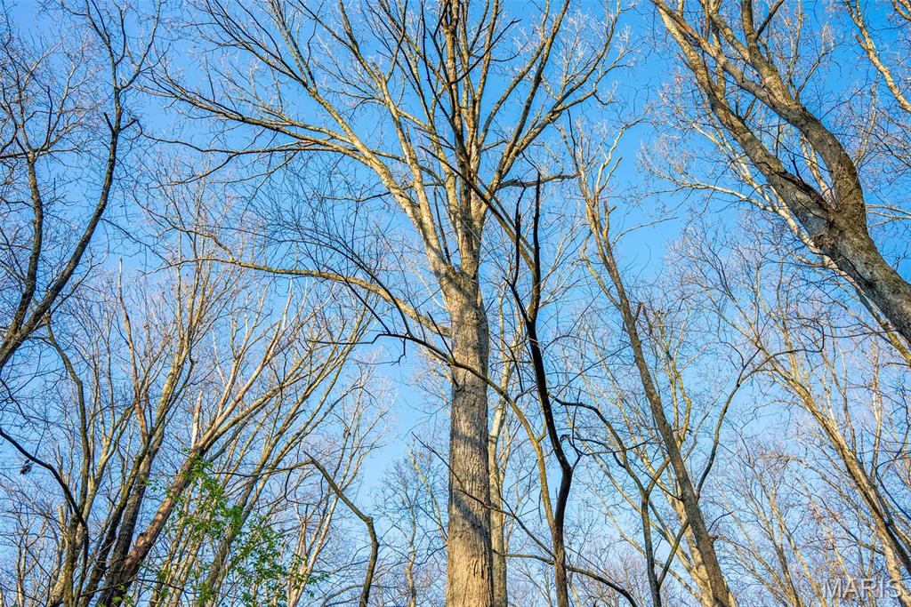 0 Elevator Road New Douglas, IL 62074 - Photo 31 of 49