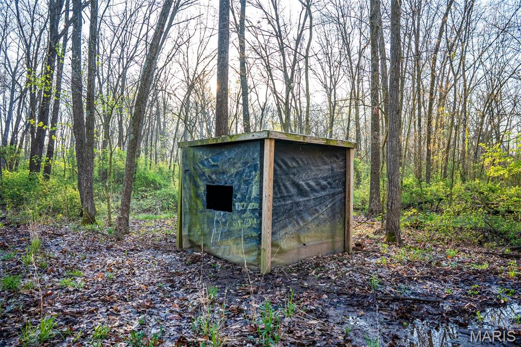 0 Elevator Road New Douglas, IL 62074 - Photo 32 of 49