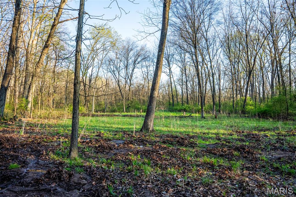 0 Elevator Road New Douglas, IL 62074 - Photo 33 of 49