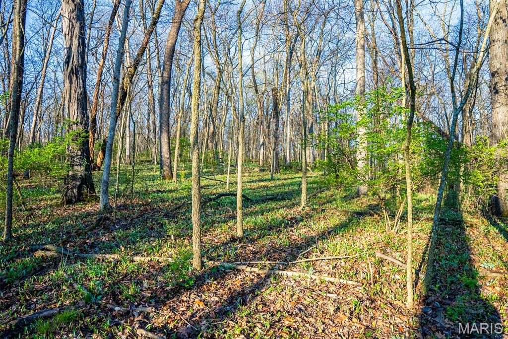 0 Elevator Road New Douglas, IL 62074 - Photo 34 of 49