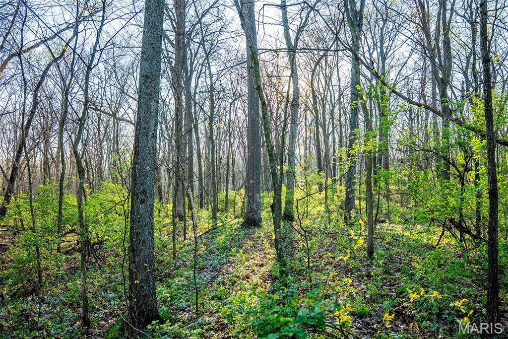 0 Elevator Road New Douglas, IL 62074 - Photo 35 of 49