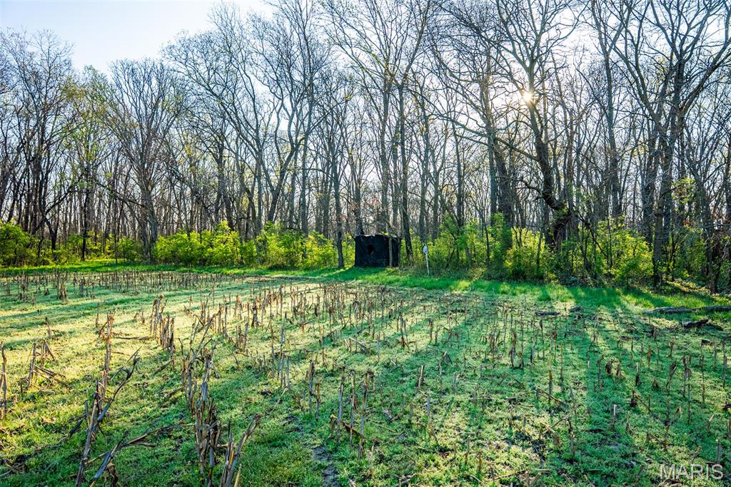 0 Elevator Road New Douglas, IL 62074 - Photo 36 of 49