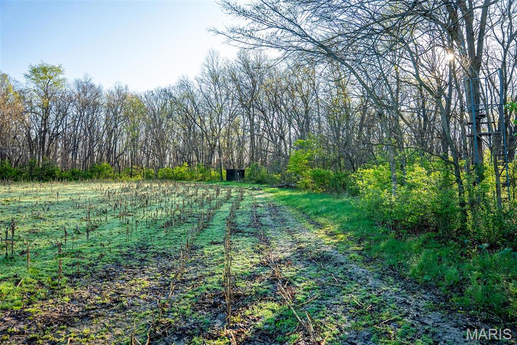 0 Elevator Road New Douglas, IL 62074 - Photo 37 of 49