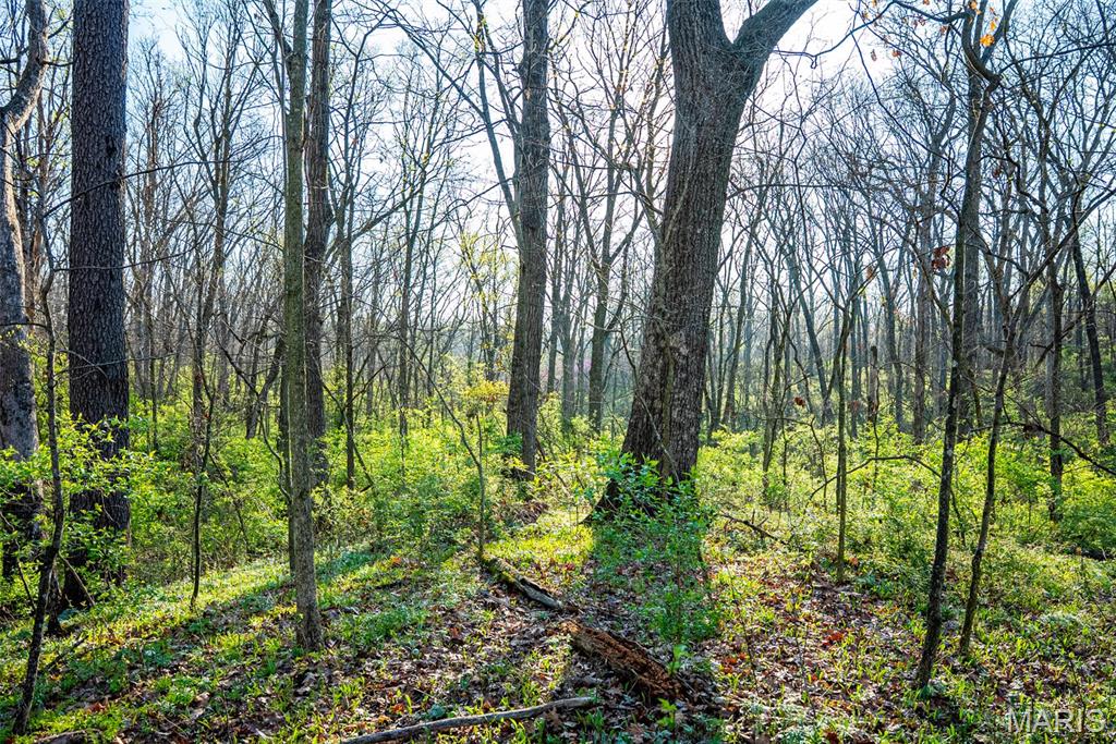 0 Elevator Road New Douglas, IL 62074 - Photo 39 of 49