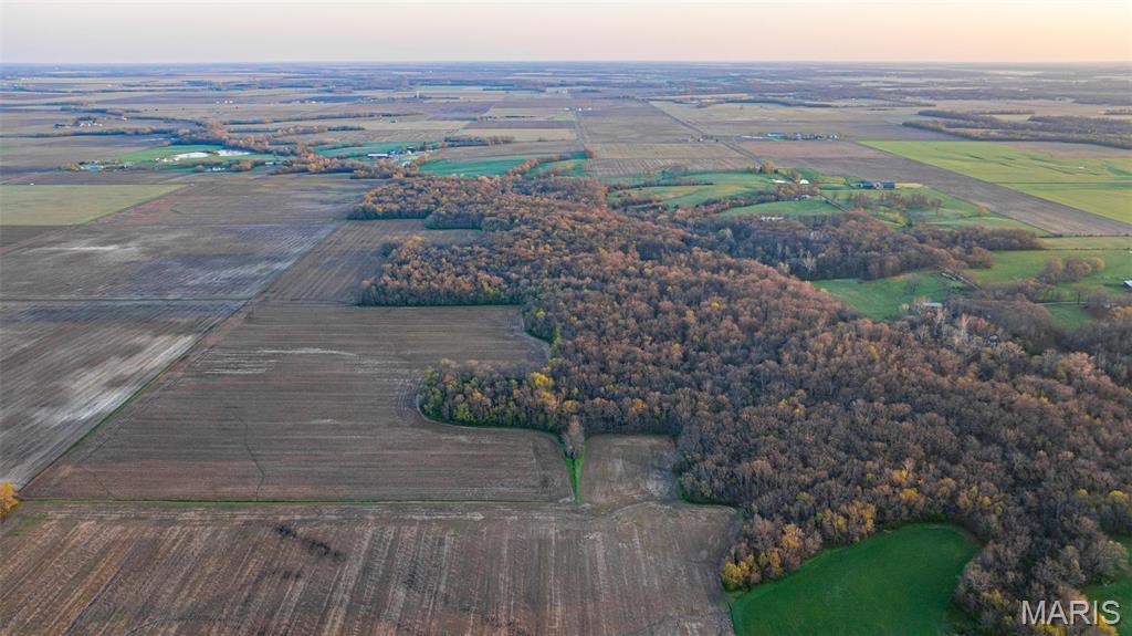 0 Elevator Road New Douglas, IL 62074 - Photo 4 of 49