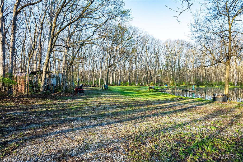 0 Elevator Road New Douglas, IL 62074 - Photo 41 of 49