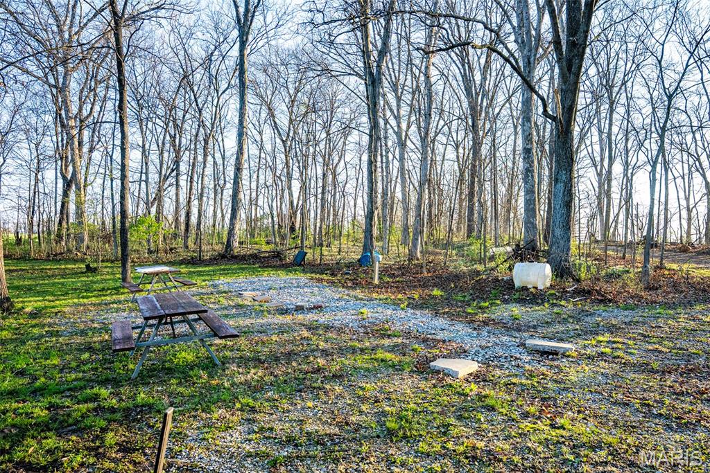 0 Elevator Road New Douglas, IL 62074 - Photo 42 of 49