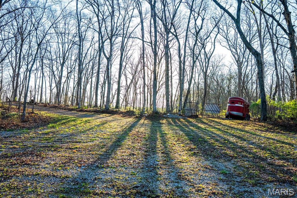 0 Elevator Road New Douglas, IL 62074 - Photo 43 of 49