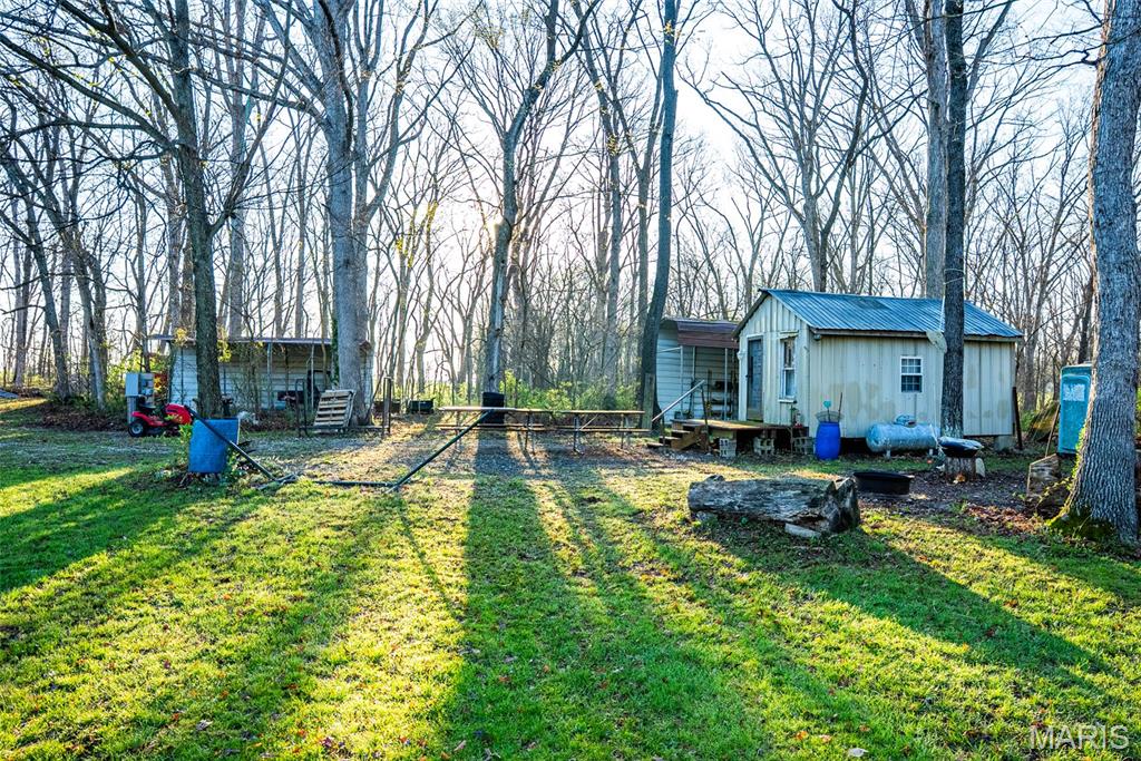 0 Elevator Road New Douglas, IL 62074 - Photo 44 of 49