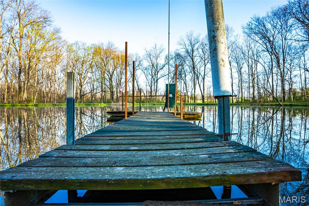 0 Elevator Road New Douglas, IL 62074 - Photo 45 of 49