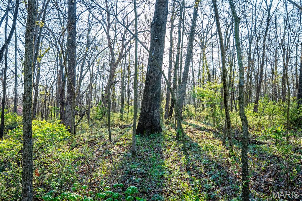 0 Elevator Road New Douglas, IL 62074 - Photo 46 of 49