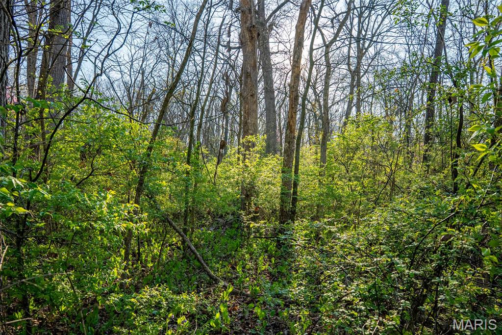 0 Elevator Road New Douglas, IL 62074 - Photo 49 of 49