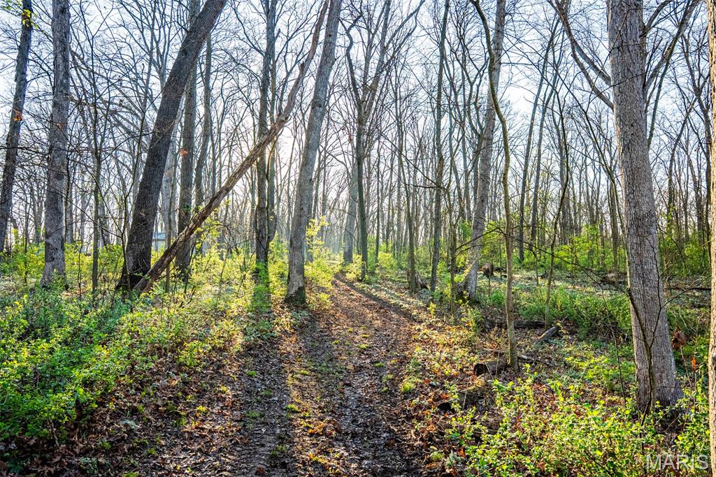 0 Elevator Road New Douglas, IL 62074 - Photo 5 of 49