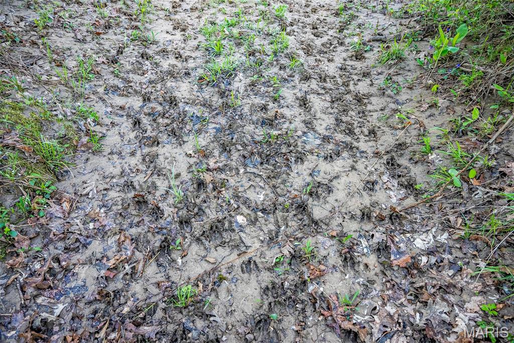 0 Elevator Road New Douglas, IL 62074 - Photo 6 of 49