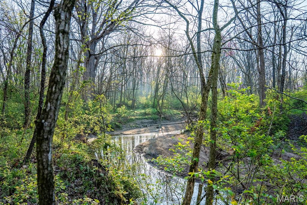 0 Elevator Road New Douglas, IL 62074 - Photo 7 of 49