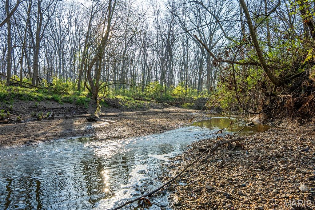 0 Elevator Road New Douglas, IL 62074 - Photo 8 of 49