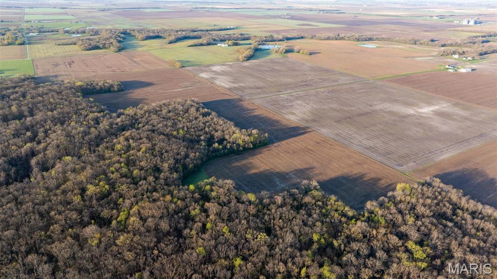 0 Elevator Road New Douglas, IL 62074 - Photo 9 of 49