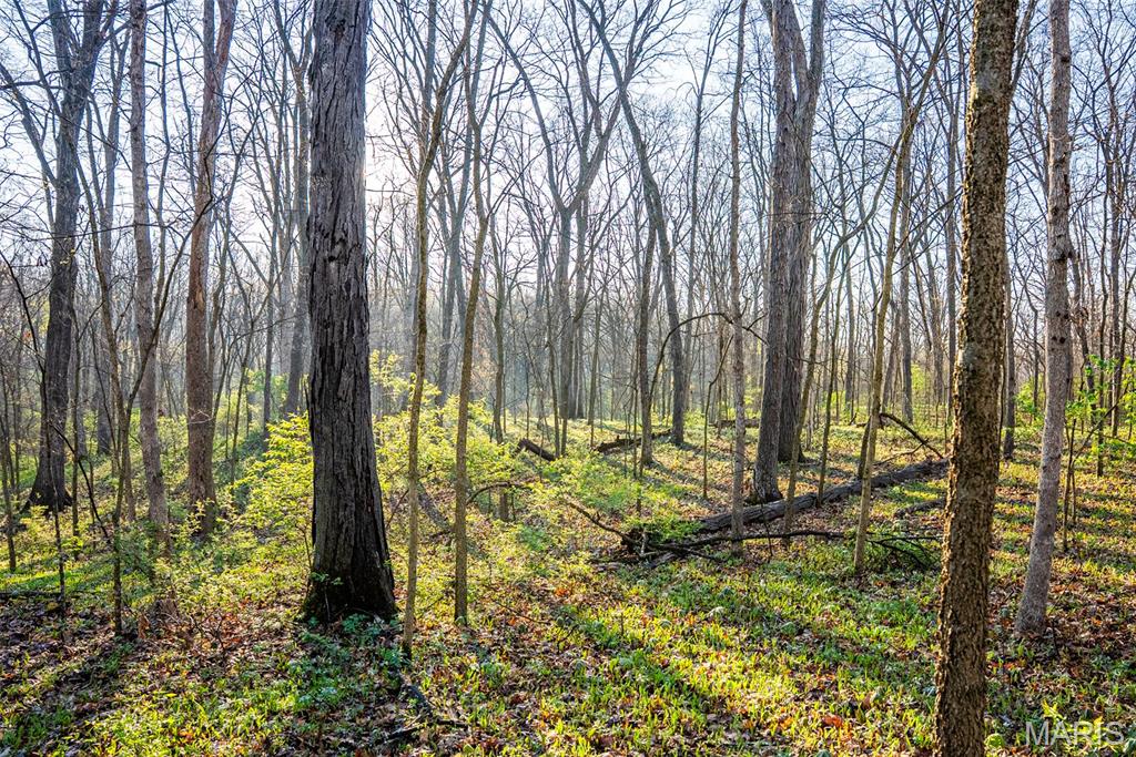 0 Elevator Road New Douglas, IL 62074 - Photo 10 of 49