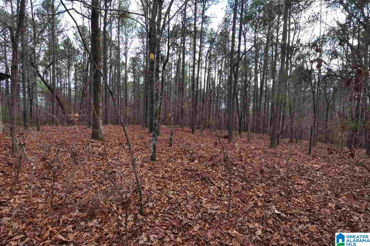 137 Tall Timber Road Alabaster, AL 35007 - Photo 29 of 35