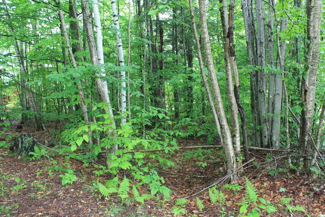 $479,000 | 130 Friendship Court, Unit PR 34, Lincoln, NH 03251