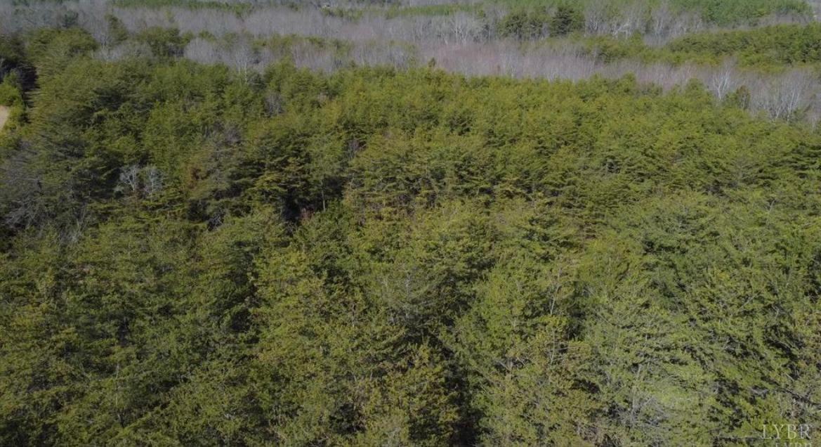 0 Thistle Road Rustburg, VA 24588 - Photo 3 of 6 a view of a field of grass and trees