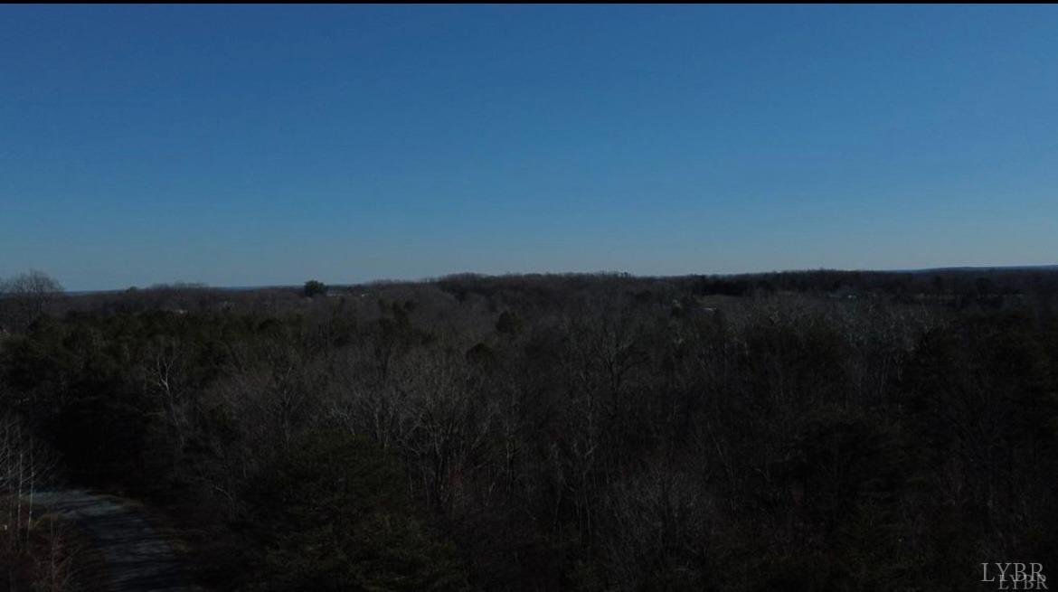 0 Thistle Road Rustburg, VA 24588 - Photo 4 of 6