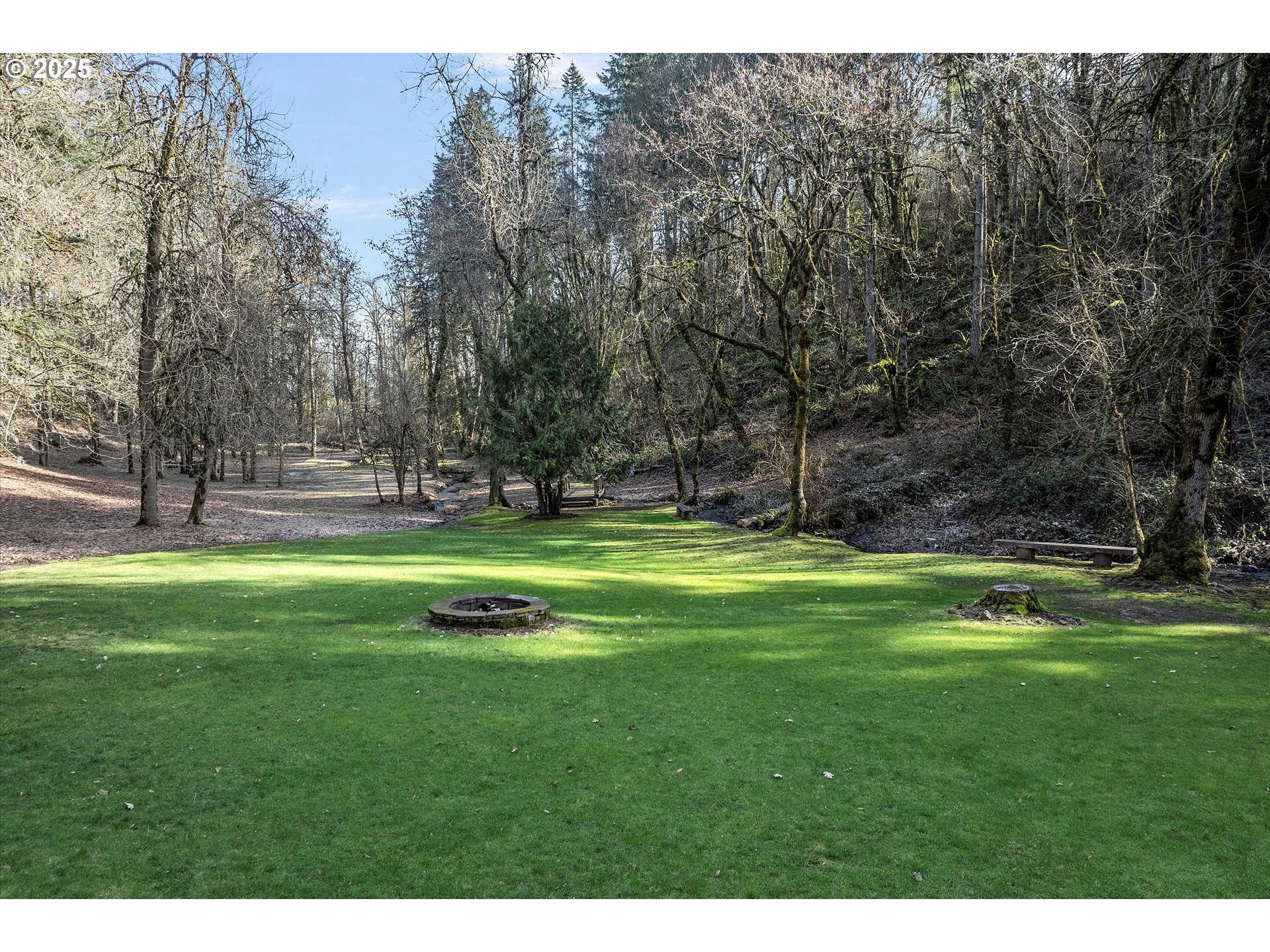 15451 Southeast Woodland Heights Road Amity, OR 97101 - Photo 45 of 48 a view of a park with large trees