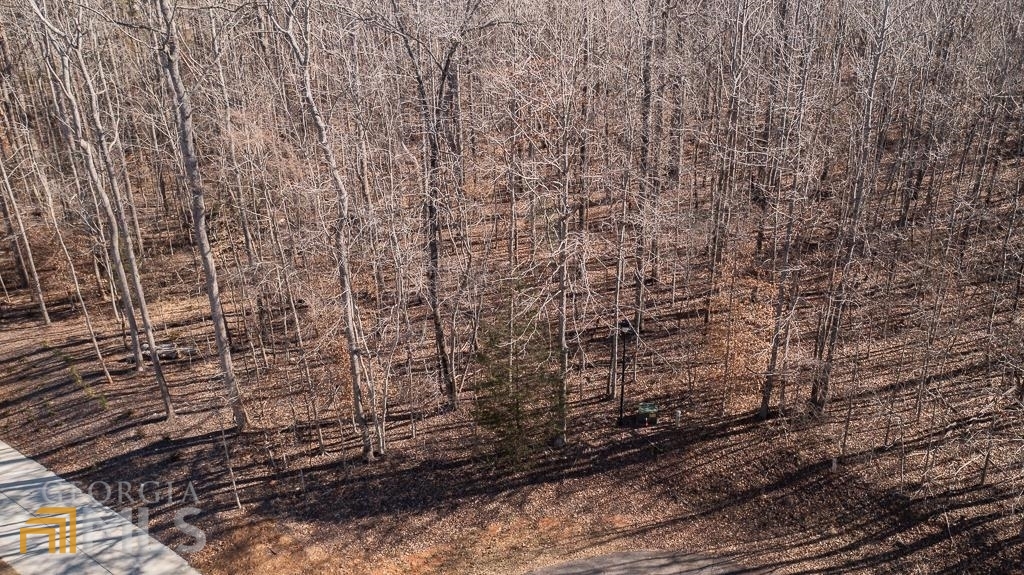 Lot 559 Teakwood Ridge Nicholson, GA 30565 - Photo 1 of 1