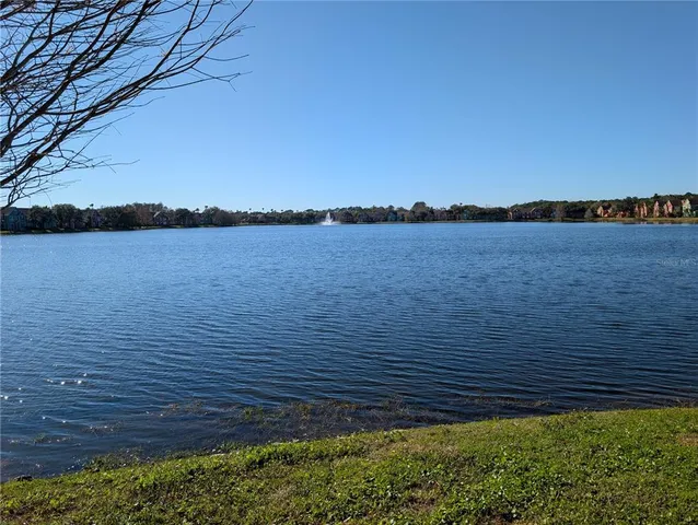 $1,675 | 10536 Windsor Lake Court, Unit 10536, Tampa, FL 33626