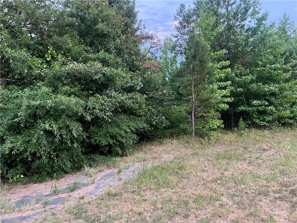 0 Chestnut Street Extension High Point, NC 27265 - Photo 5 of 5 Gallery Image 5