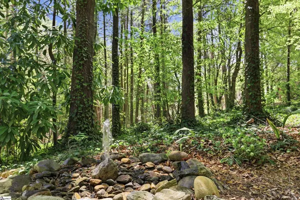 $425,000 | 111 Sourwood Street, Central, SC 29630